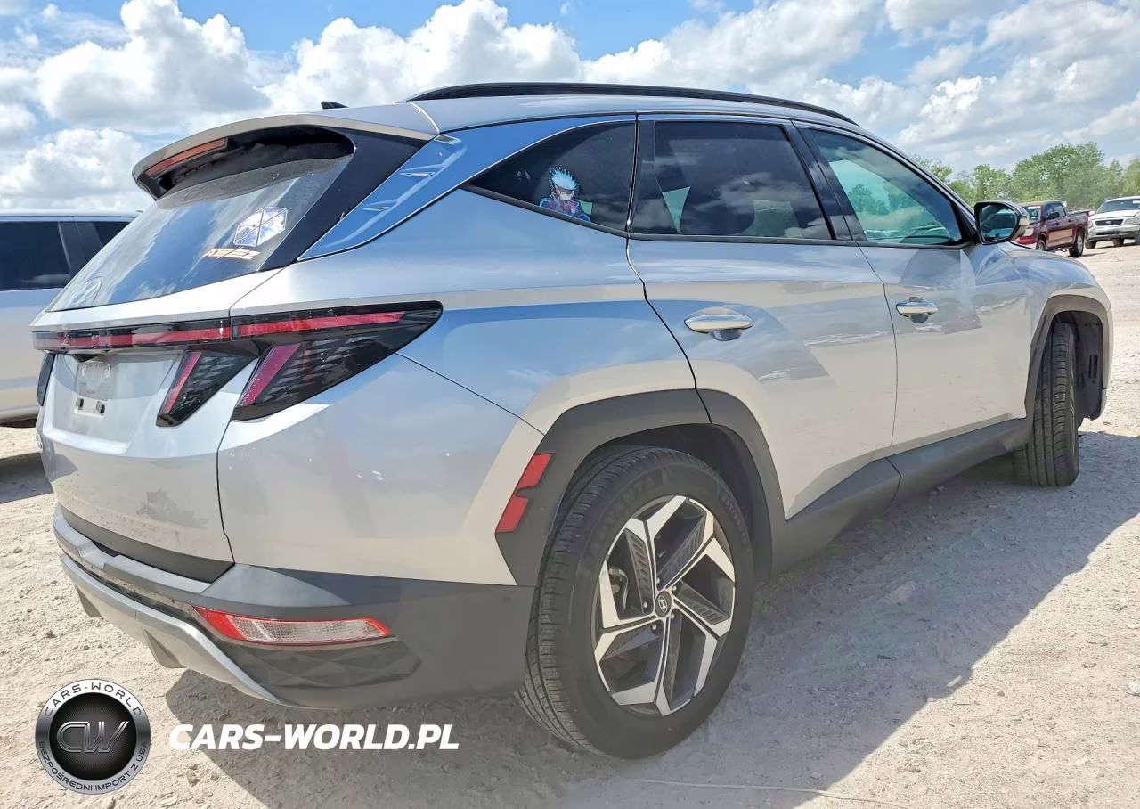2024 Hyundai Tucson Limited VIN:5NMJE3DE3RH305051 - 3