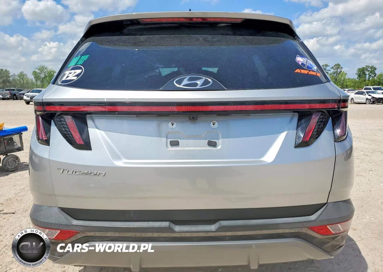 2024 Hyundai Tucson Limited VIN:5NMJE3DE3RH305051 - 6