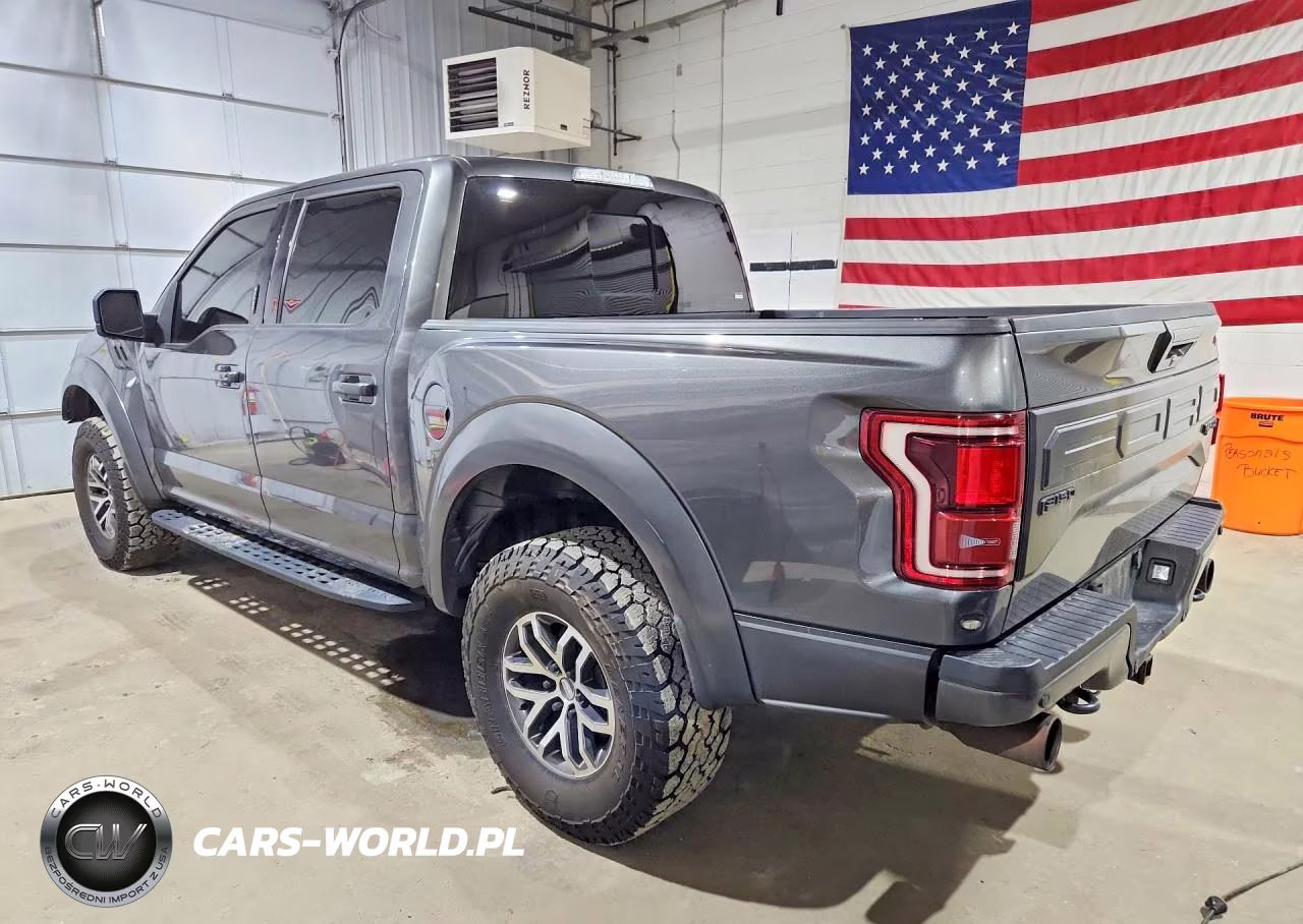 2017 Ford F150 Raptor VIN:1FTFW1RG4HFB46781 - 2