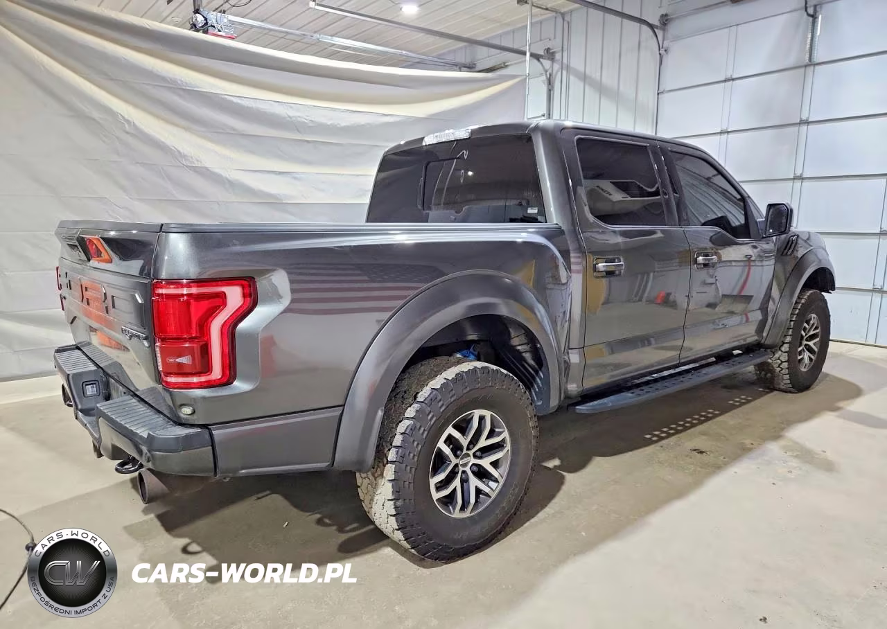 2017 Ford F150 Raptor VIN:1FTFW1RG4HFB46781 - 3