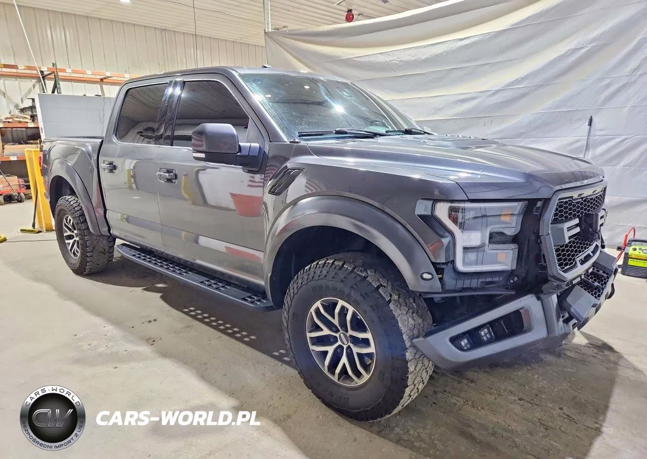 2017 Ford F150 Raptor VIN:1FTFW1RG4HFB46781 - 4