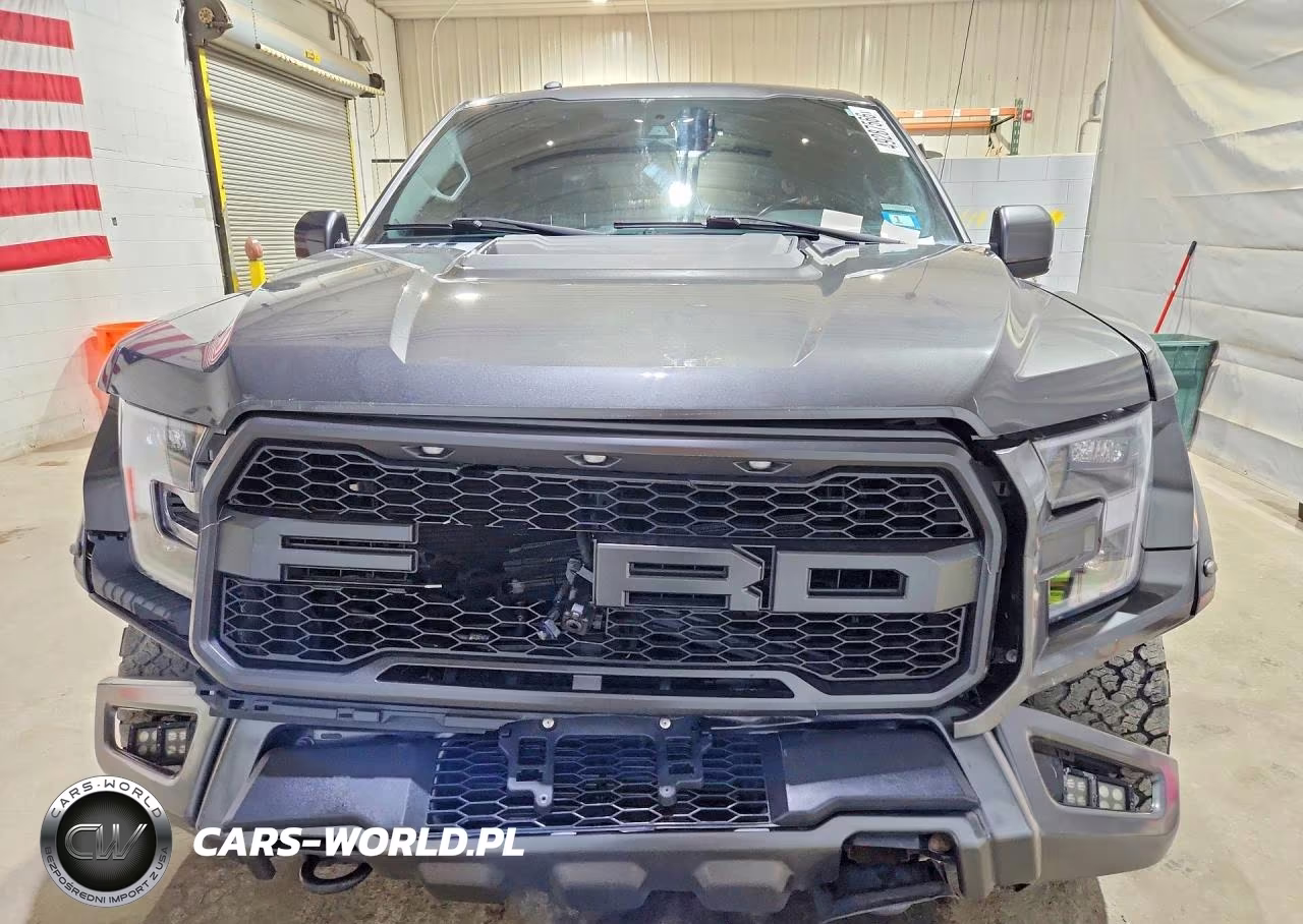 2017 Ford F150 Raptor VIN:1FTFW1RG4HFB46781 - 5