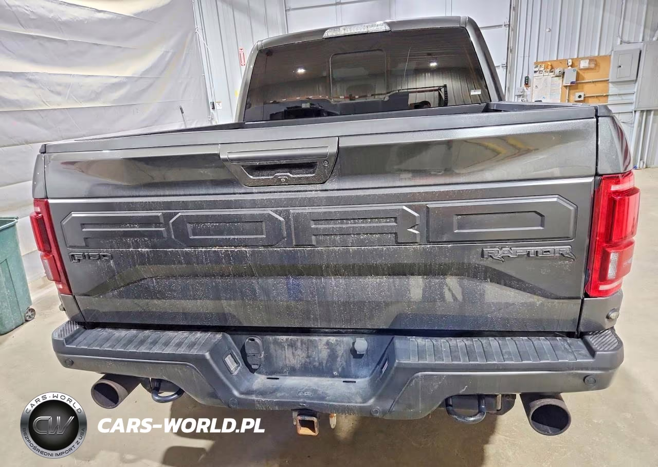 2017 Ford F150 Raptor VIN:1FTFW1RG4HFB46781 - 6