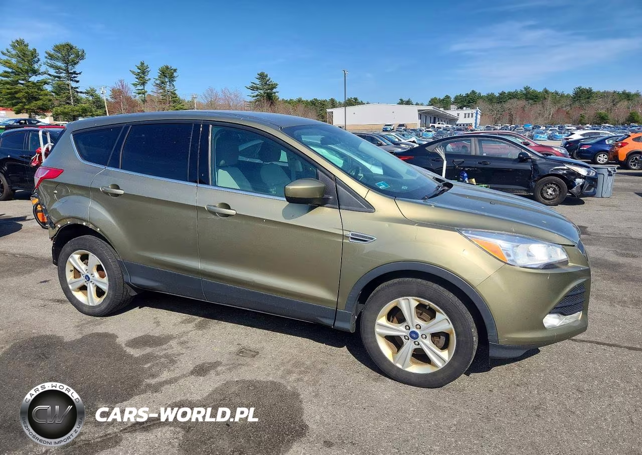 2014 Ford Escape Se VIN:1FMCU0GX1EUA27305 - 4