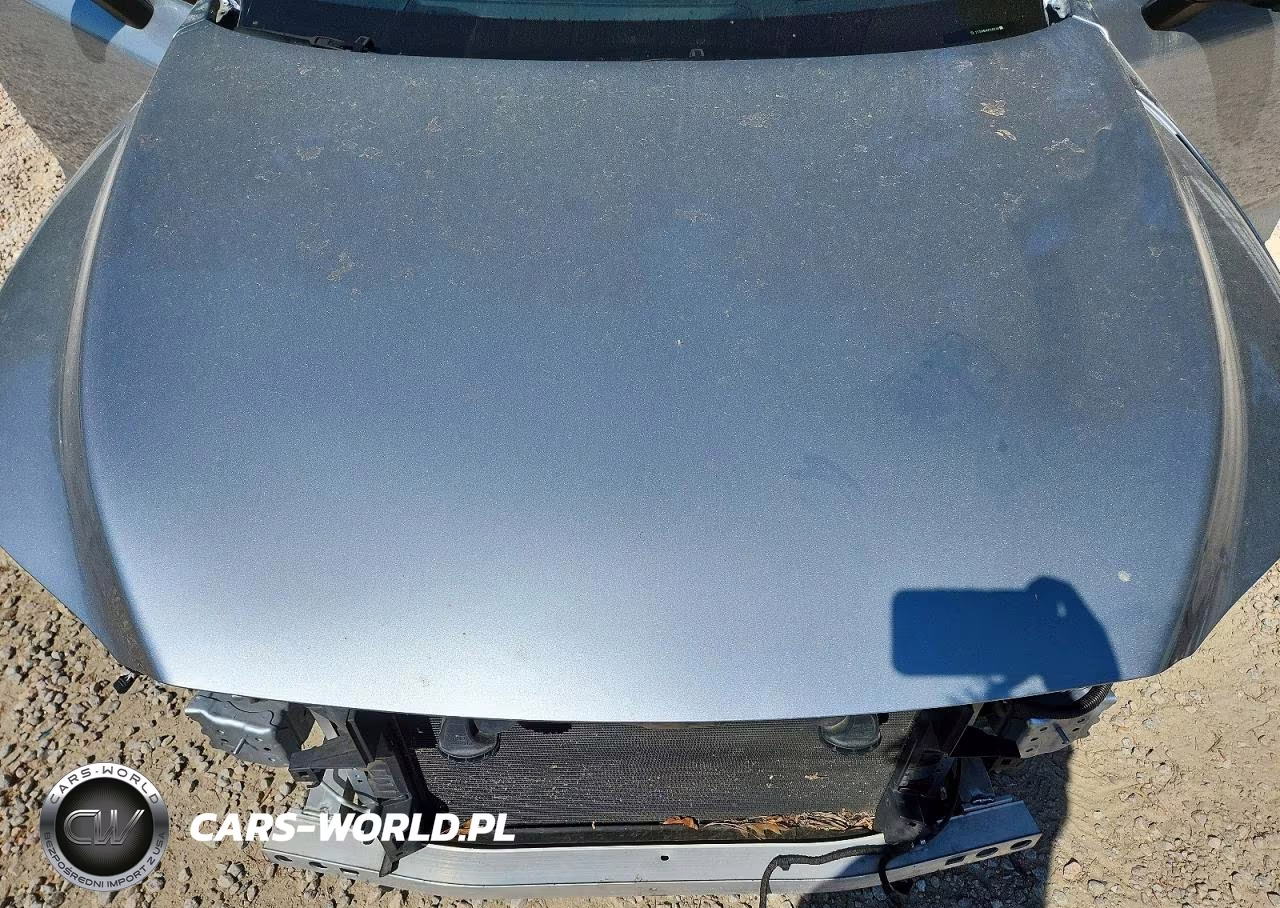 2023 Lexus Rx 500H F Sport Performance VIN:2T2BCMEA6PC006583 - 11