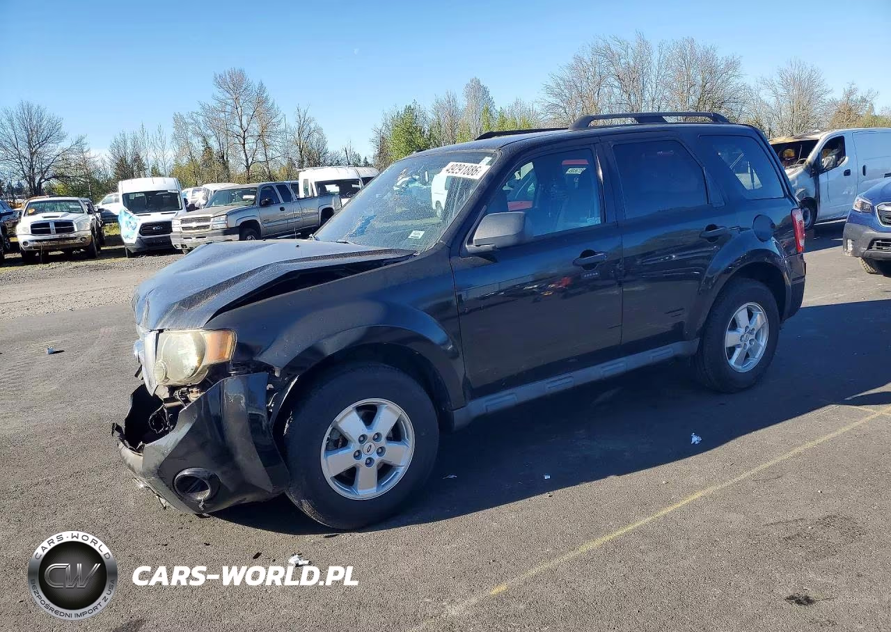 2010 Ford Escape Xlt