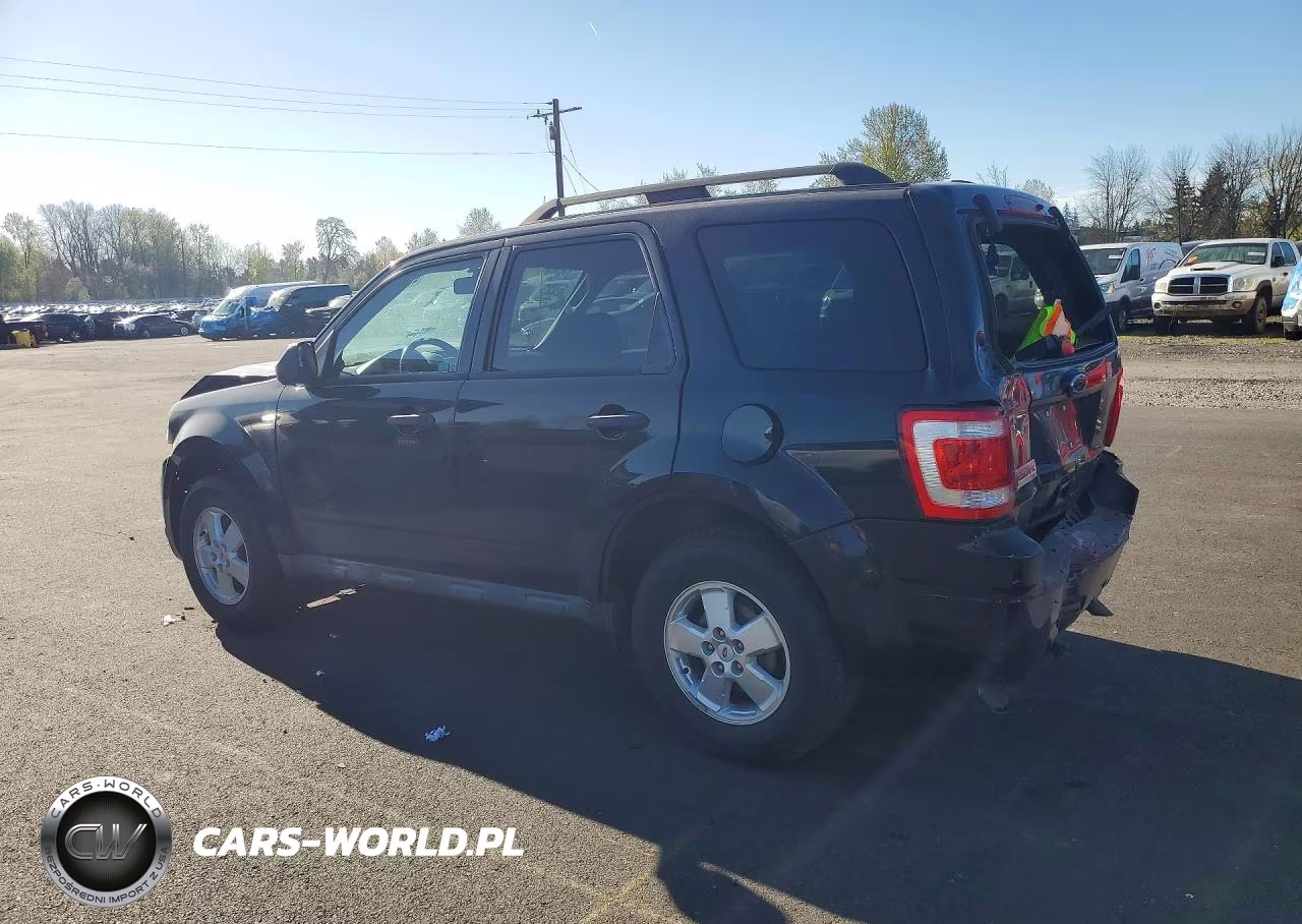 2010 Ford Escape Xlt VIN:1FMCU0D73AKD38809 - 2
