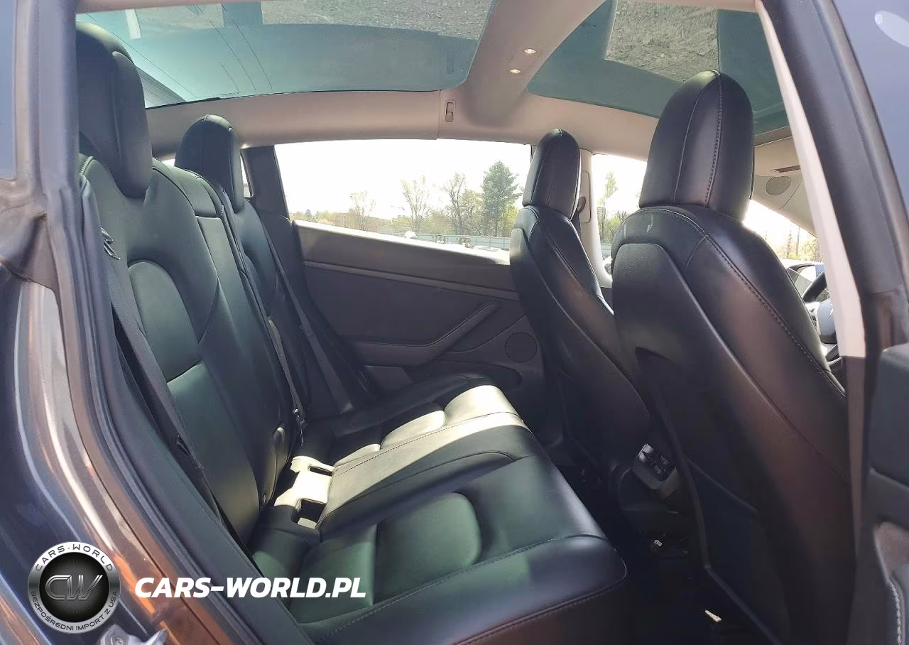 2021 Tesla Model 3 VIN:5YJ3E1EA5MF092784 - 10