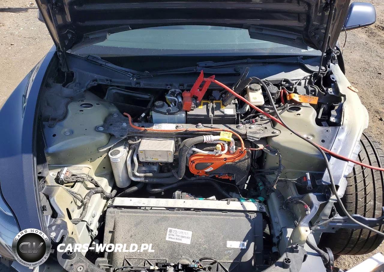 2021 Tesla Model 3 VIN:5YJ3E1EA5MF092784 - 11