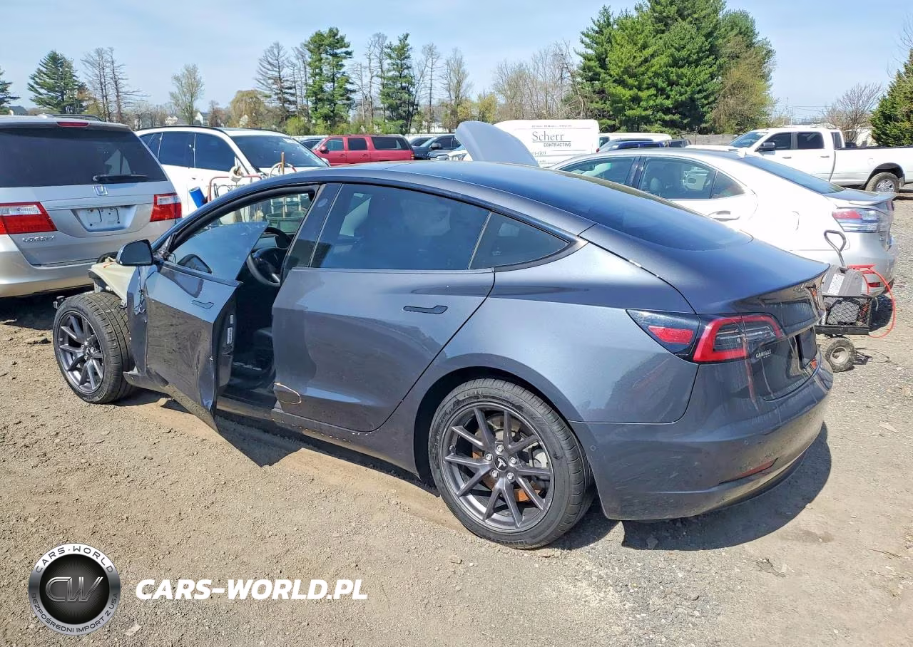2021 Tesla Model 3 VIN:5YJ3E1EA5MF092784 - 2