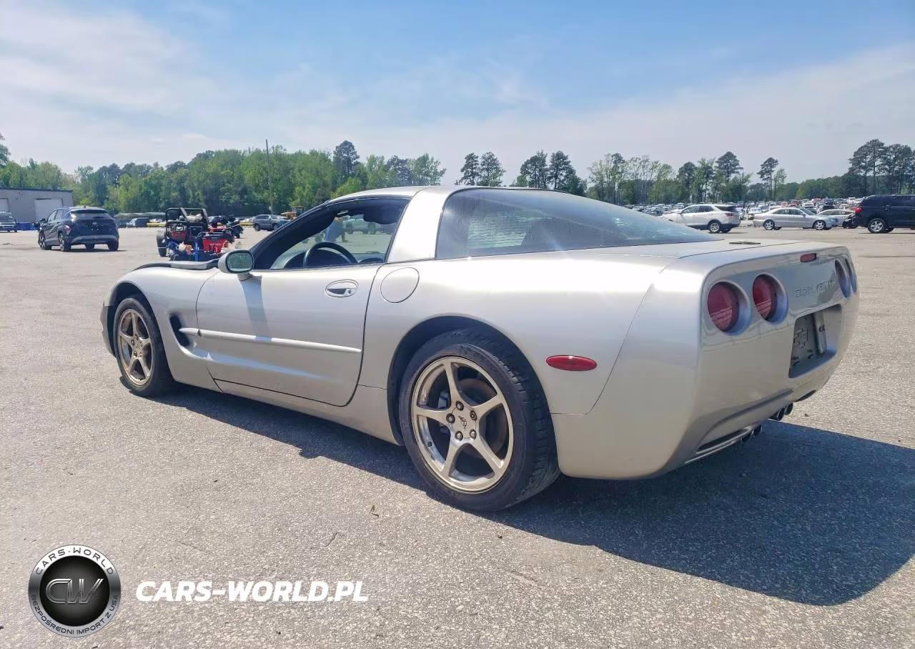 2004 Chevrolet Corvette VIN:1G1YY22G845118199 - 2