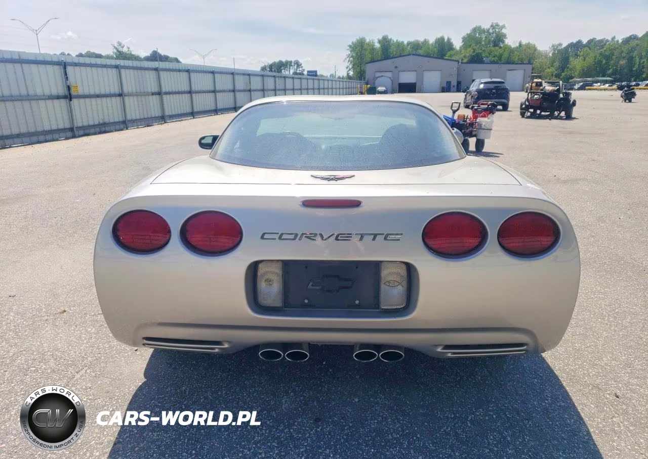 2004 Chevrolet Corvette VIN:1G1YY22G845118199 - 6