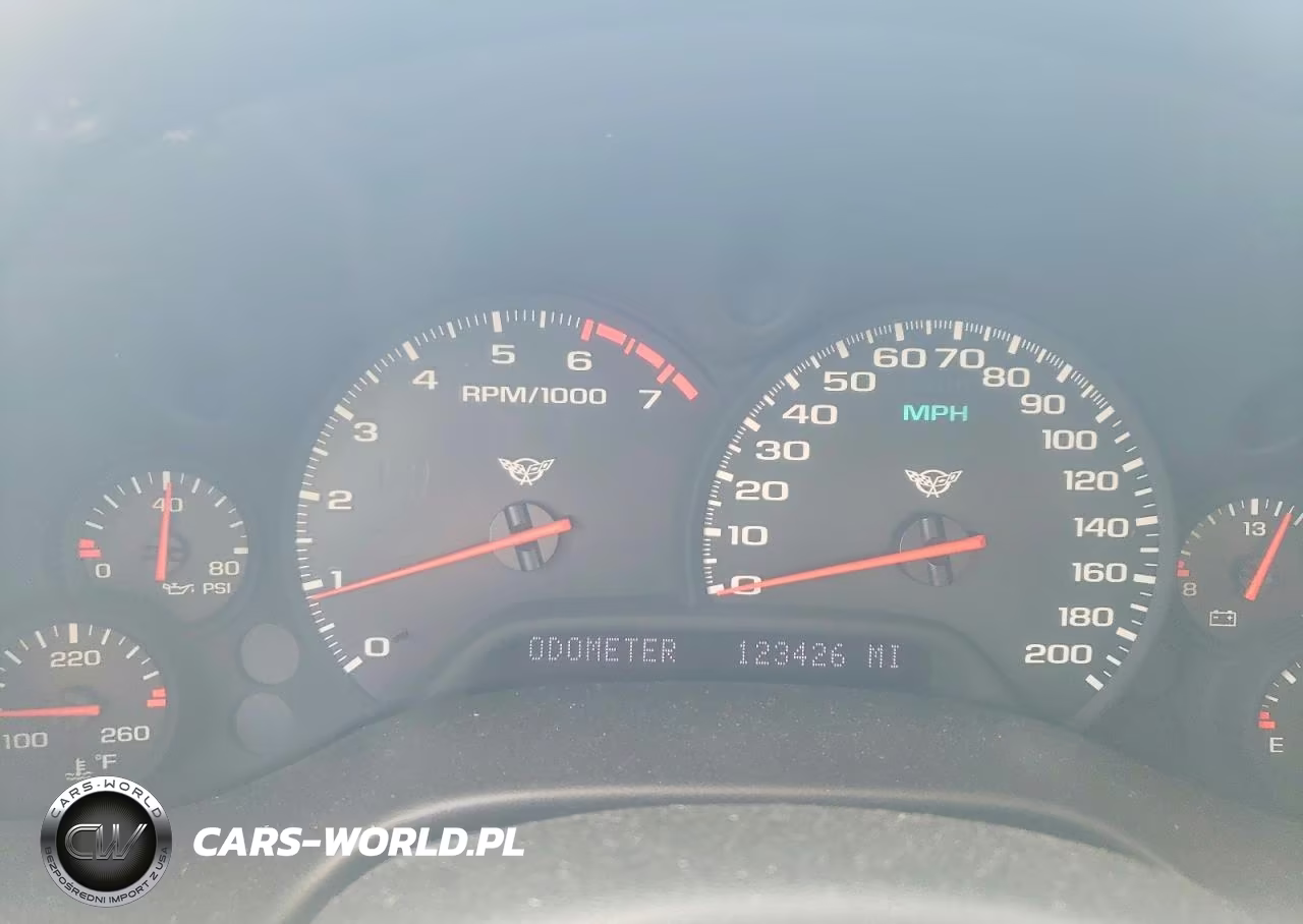 2004 Chevrolet Corvette VIN:1G1YY22G845118199 - 9