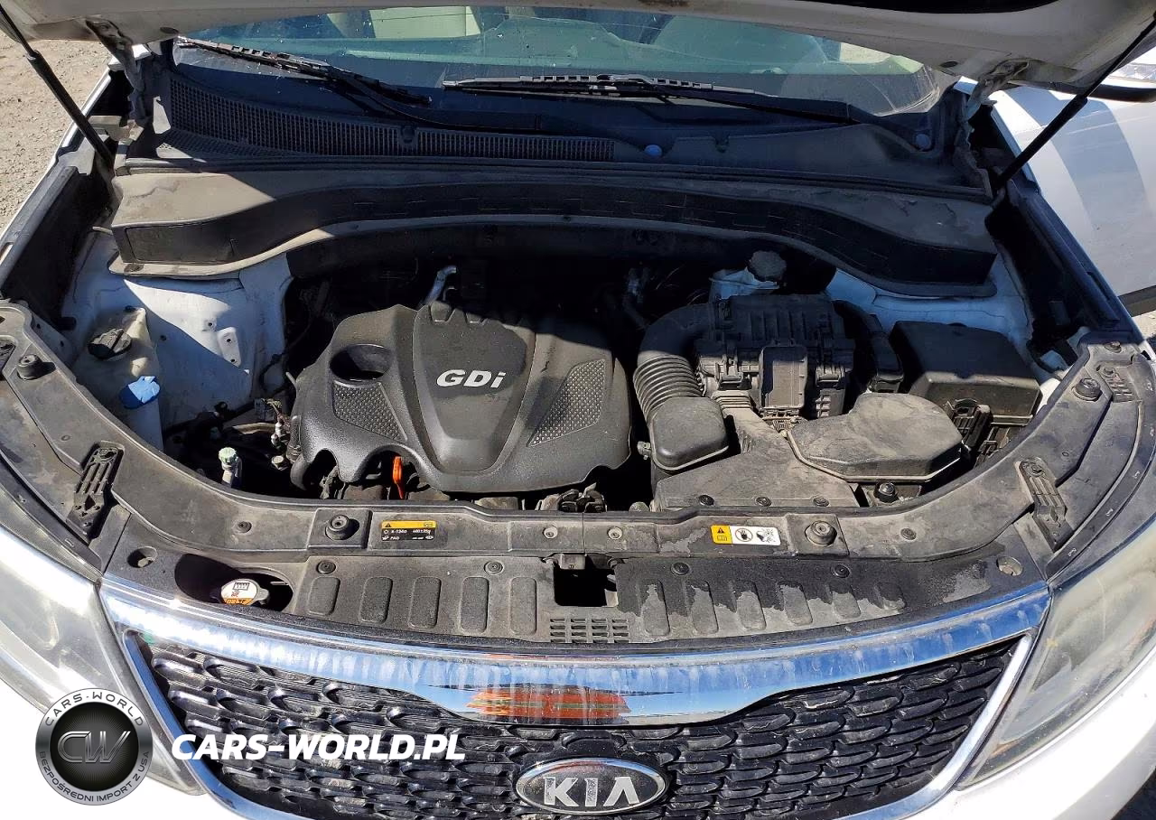2014 Kia Sorento Lx VIN:5XYKT4A68EG493664 - 12