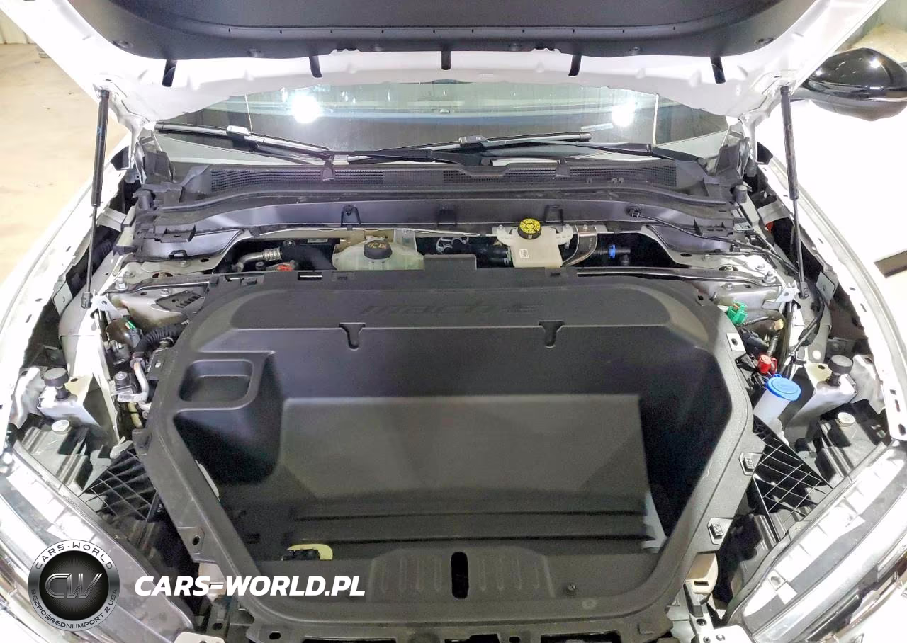 2025 Ford Mustang Mach-E Premium VIN:3FMTK3SU6SMA54388 - 12