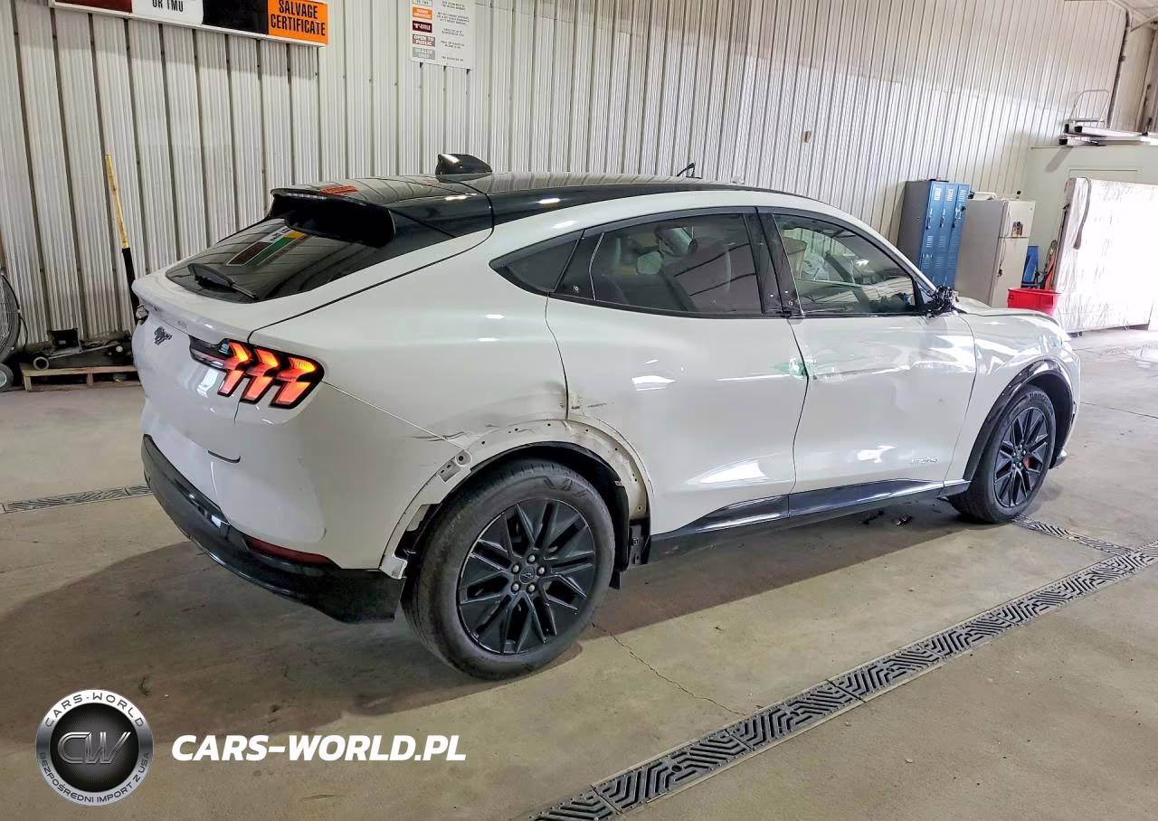2025 Ford Mustang Mach-E Premium VIN:3FMTK3SU6SMA54388 - 3