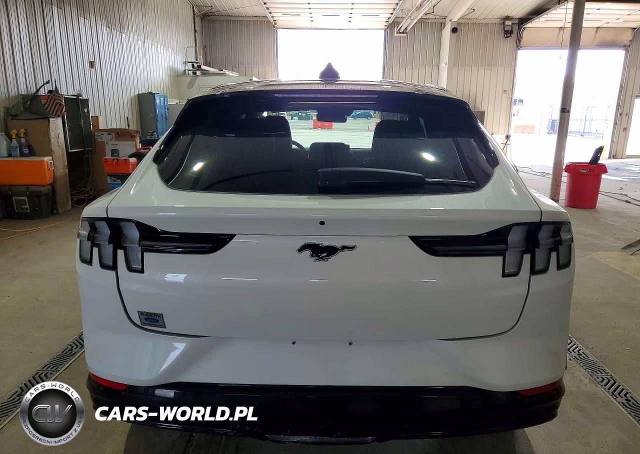 2025 Ford Mustang Mach-E Premium VIN:3FMTK3SU6SMA54388 - 6