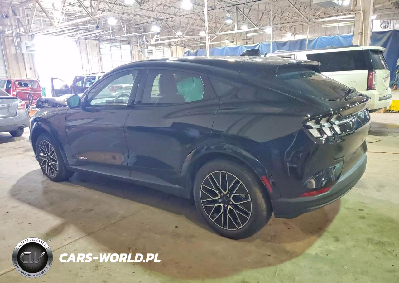 2025 Ford Mustang Mach-E Premium VIN:3FMTK3SU8SMA36717 - 2