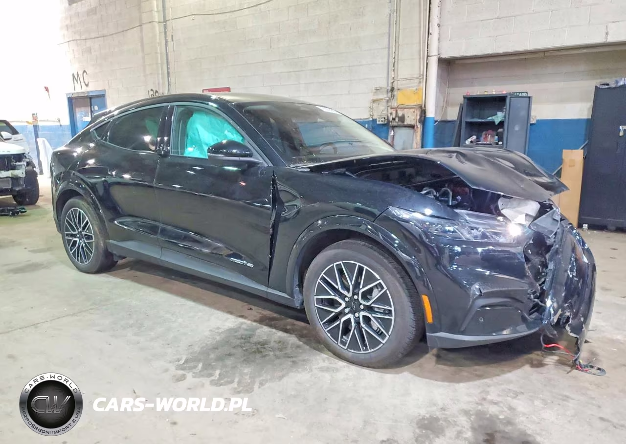 2025 Ford Mustang Mach-E Premium VIN:3FMTK3SU8SMA36717 - 4
