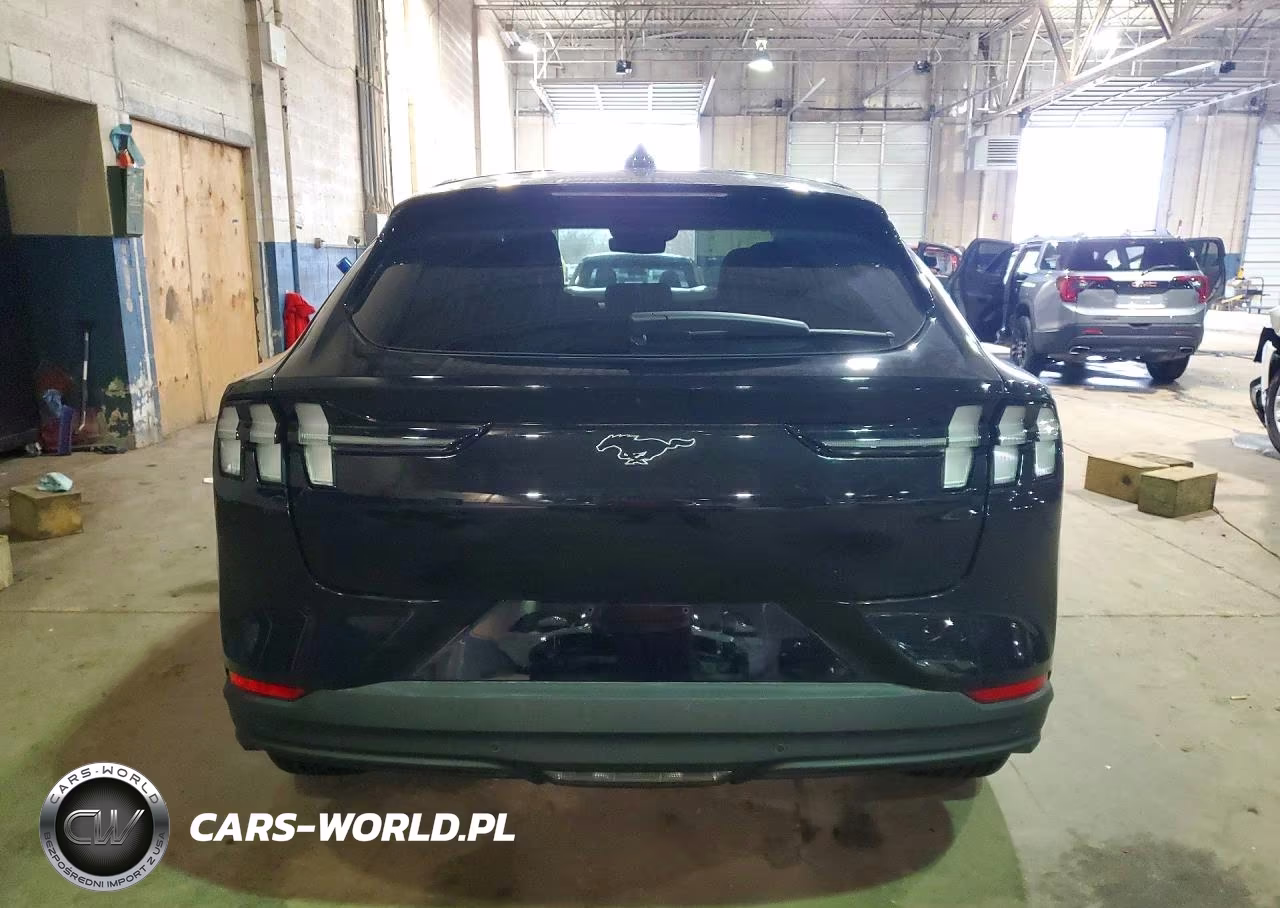 2025 Ford Mustang Mach-E Premium VIN:3FMTK3SU8SMA36717 - 6