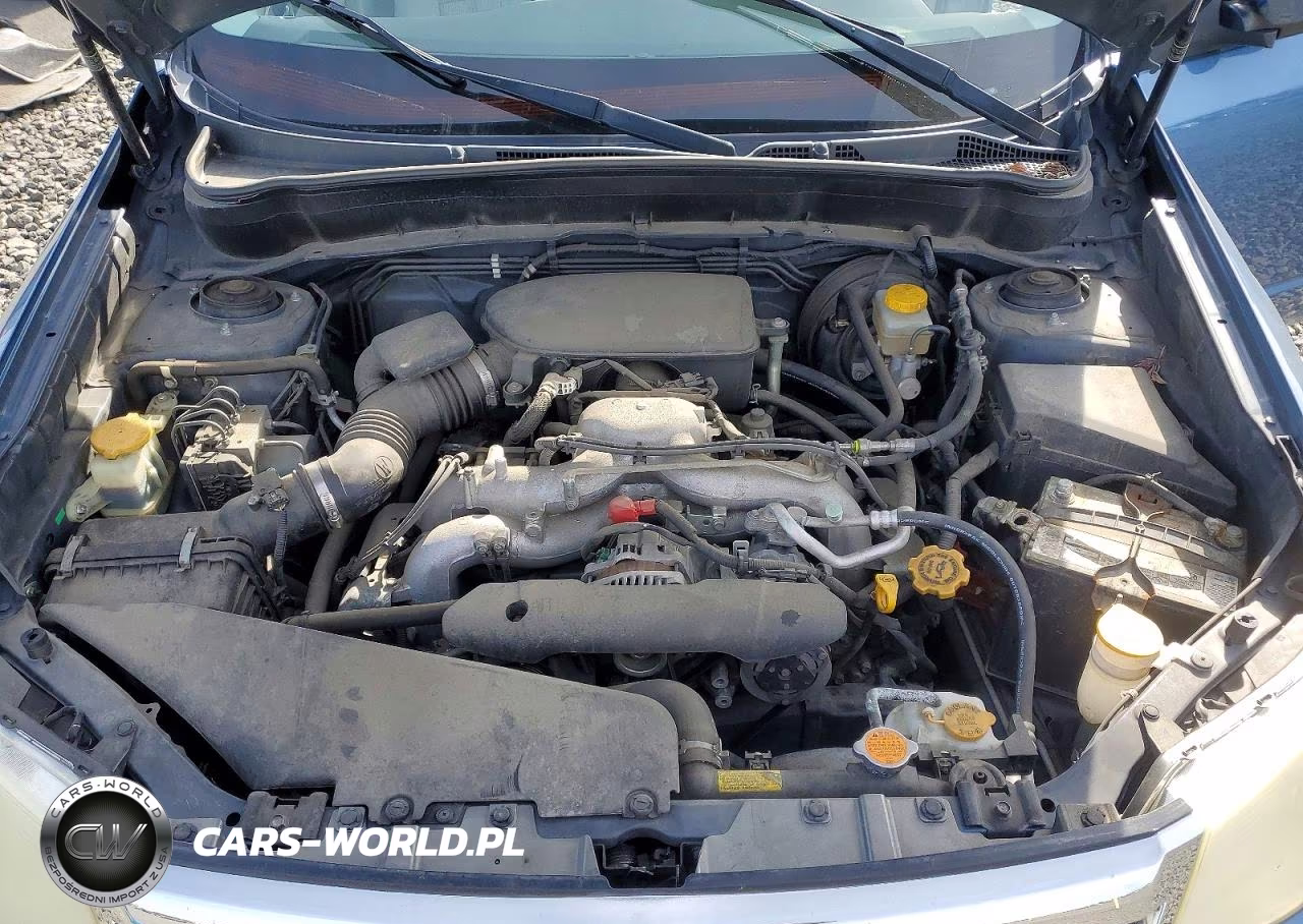2010 Subaru Forester 2.5X Premium VIN:JF2SH6CC3AH786438 - 11