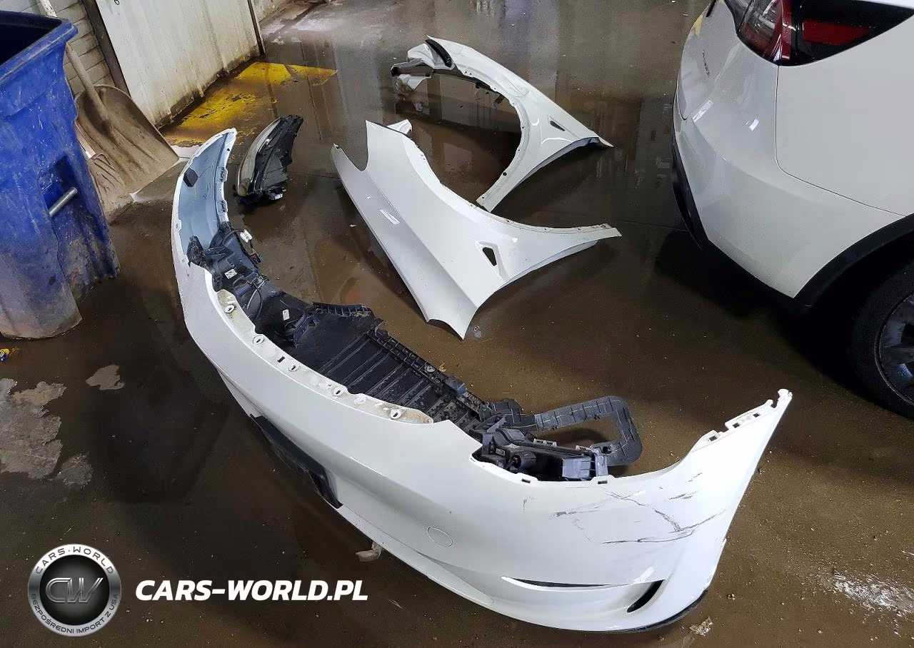 2023 Tesla Model Y VIN:7SAYGDEE9PF807979 - 12