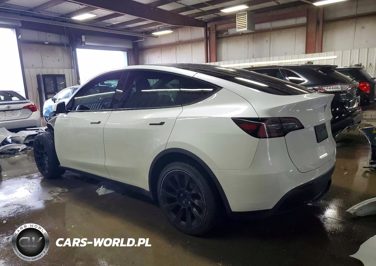 2023 Tesla Model Y VIN:7SAYGDEE9PF807979 - 2