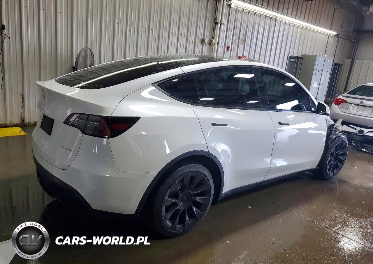 2023 Tesla Model Y VIN:7SAYGDEE9PF807979 - 3