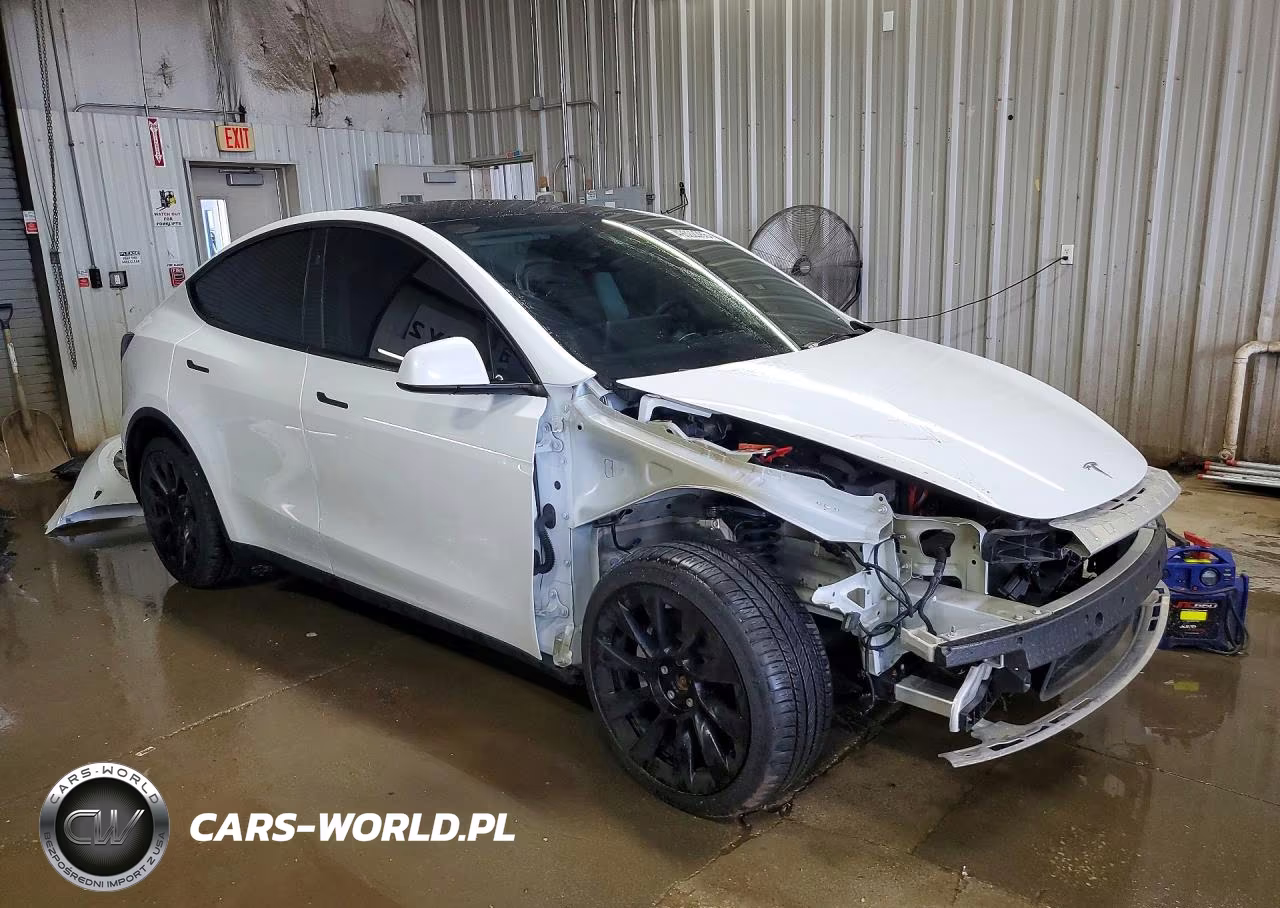 2023 Tesla Model Y VIN:7SAYGDEE9PF807979 - 4