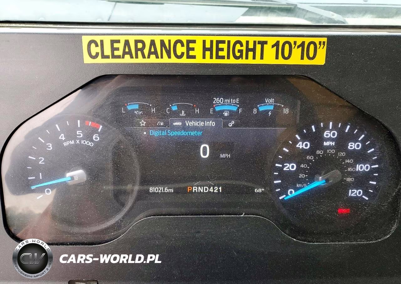 2021 Ford F59 Delivery Van VIN:1F65F5KN2M0A01959 - 9