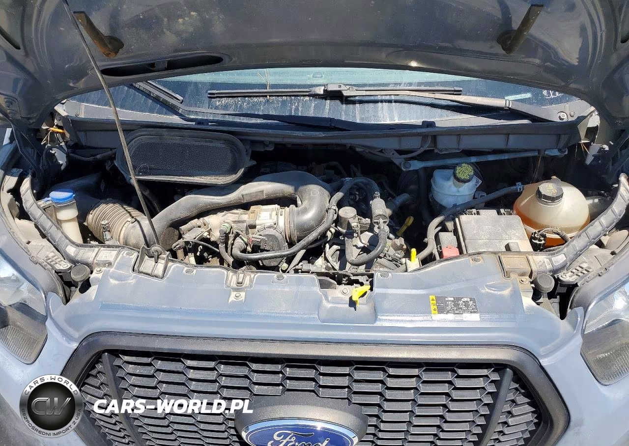 2021 Ford Transit Delivery Truck VIN:1FDDF6P89MKA57544 - 11