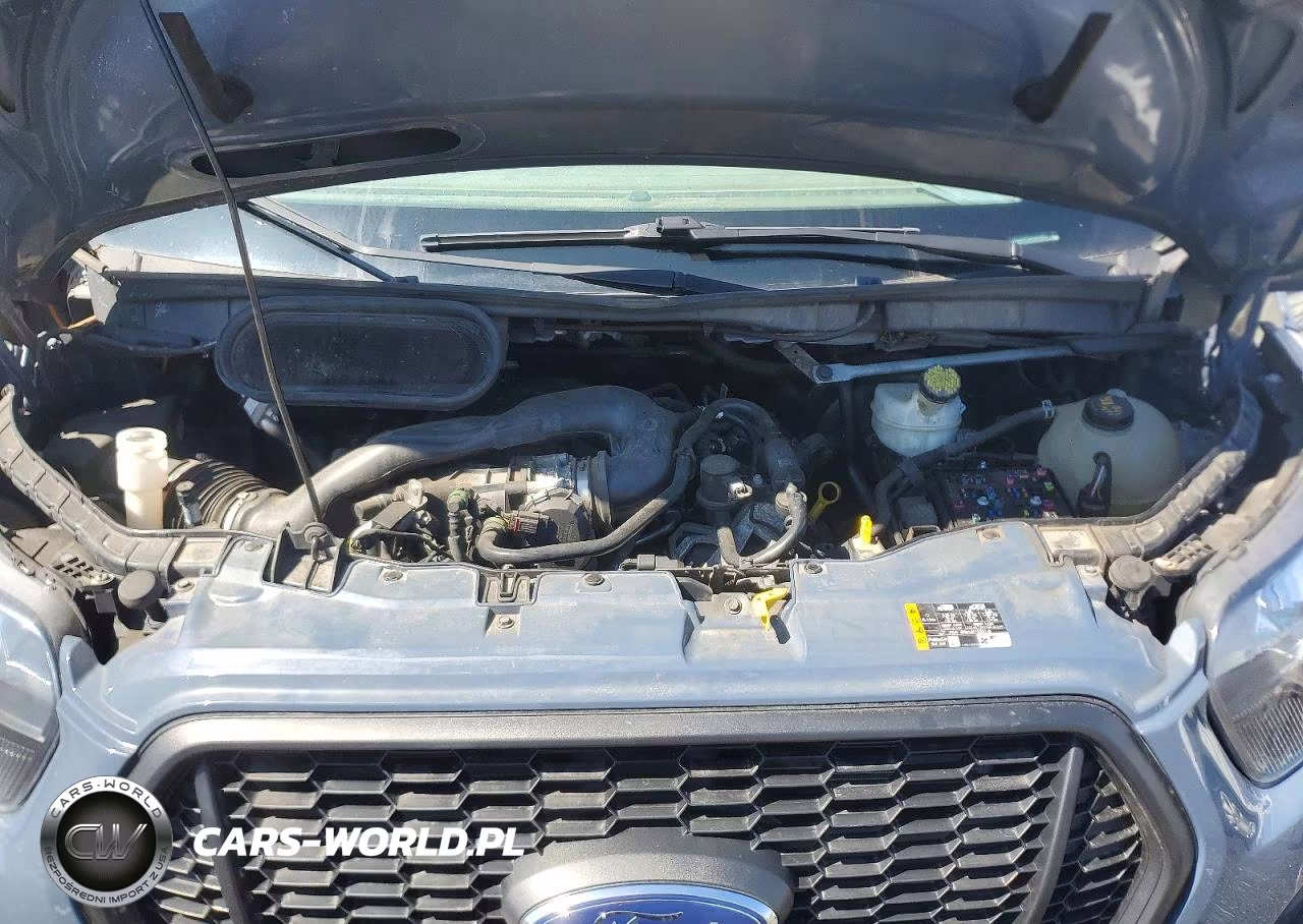 2021 Ford Transit Delivery Truck VIN:1FDDF6P85MKA59761 - 12