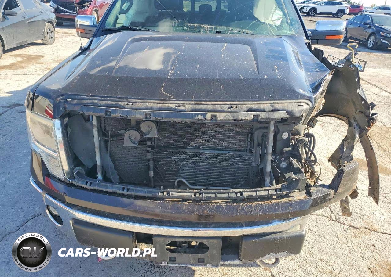 2013 Ford F-150 VIN:1FTFW1E60DFB67389 - 11