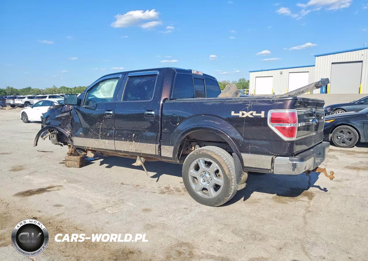 2013 Ford F-150 VIN:1FTFW1E60DFB67389 - 2