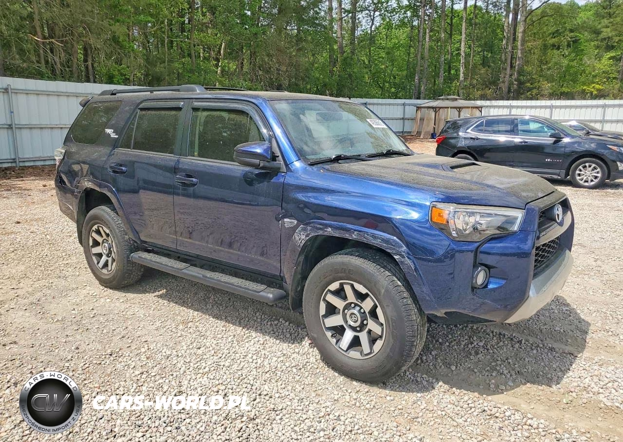 2019 Toyota 4Runner Trd Off-Road VIN:JTEBU5JR7K5612530 - 4