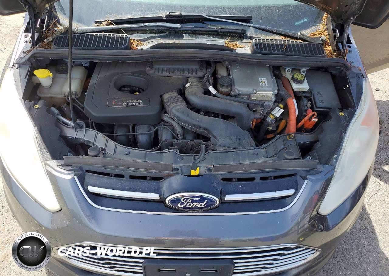 2014 Ford C-Max Premium VIN:1FADP5CU1EL503640 - 11
