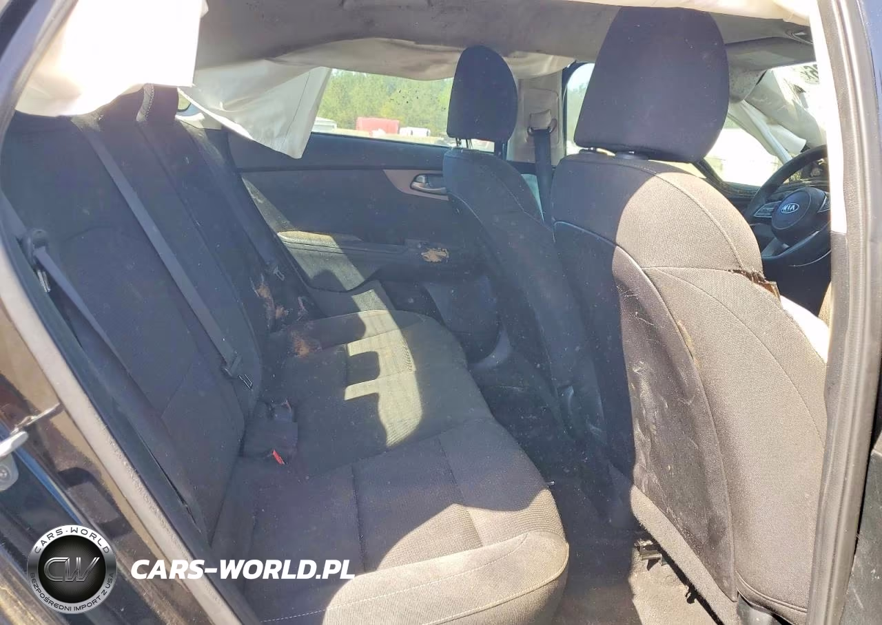 2019 Kia Forte Lxs VIN:3KPF24ADXKE129841 - 10