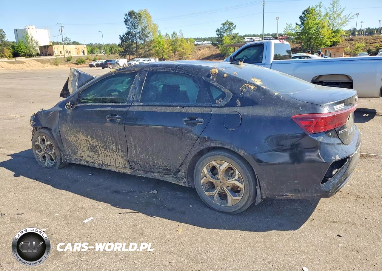2019 Kia Forte Lxs VIN:3KPF24ADXKE129841 - 2