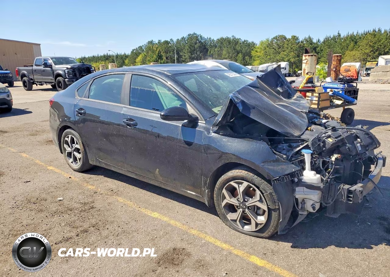 2019 Kia Forte Lxs VIN:3KPF24ADXKE129841 - 4