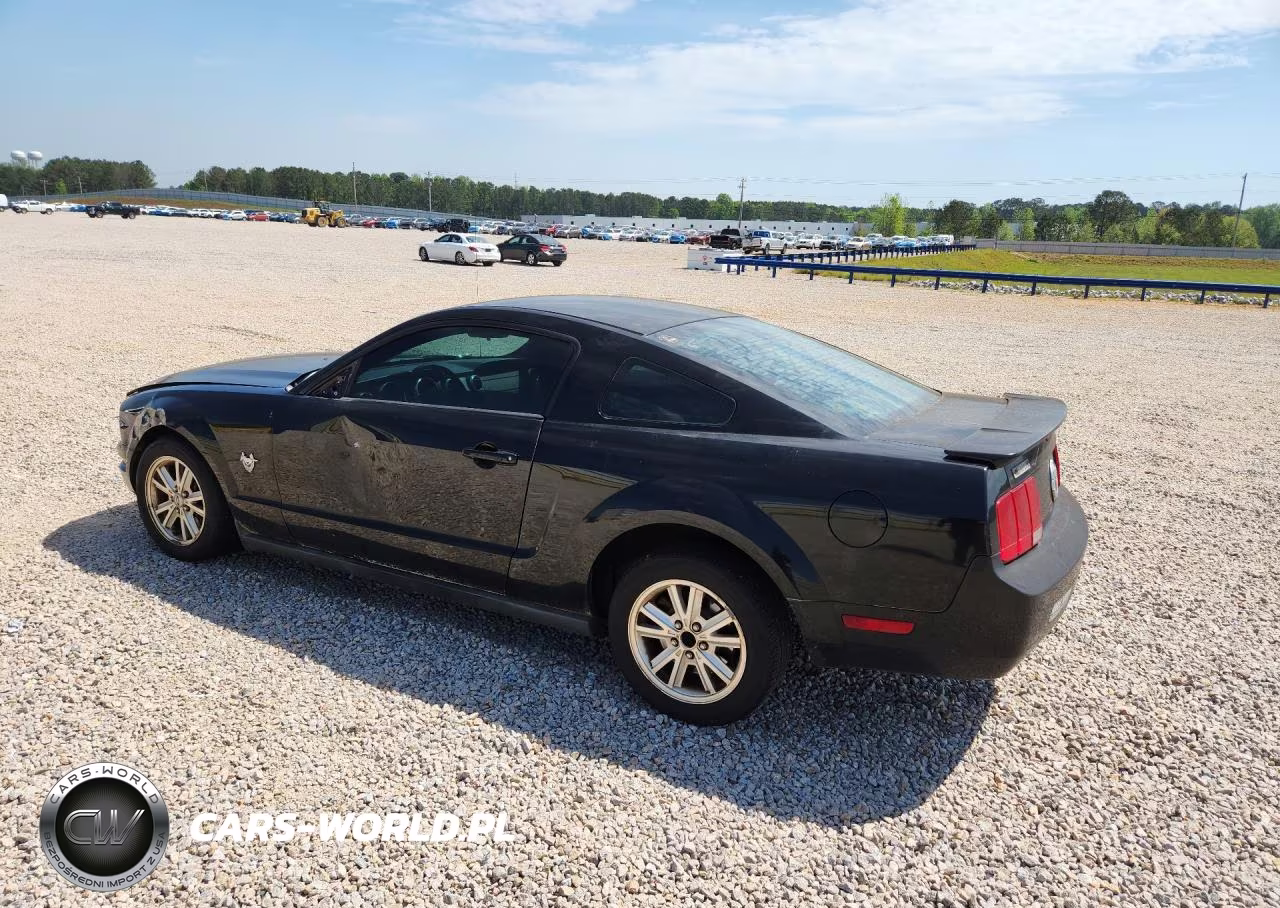 2009 Ford Mustang VIN:1ZVHT80N495124404 - 2