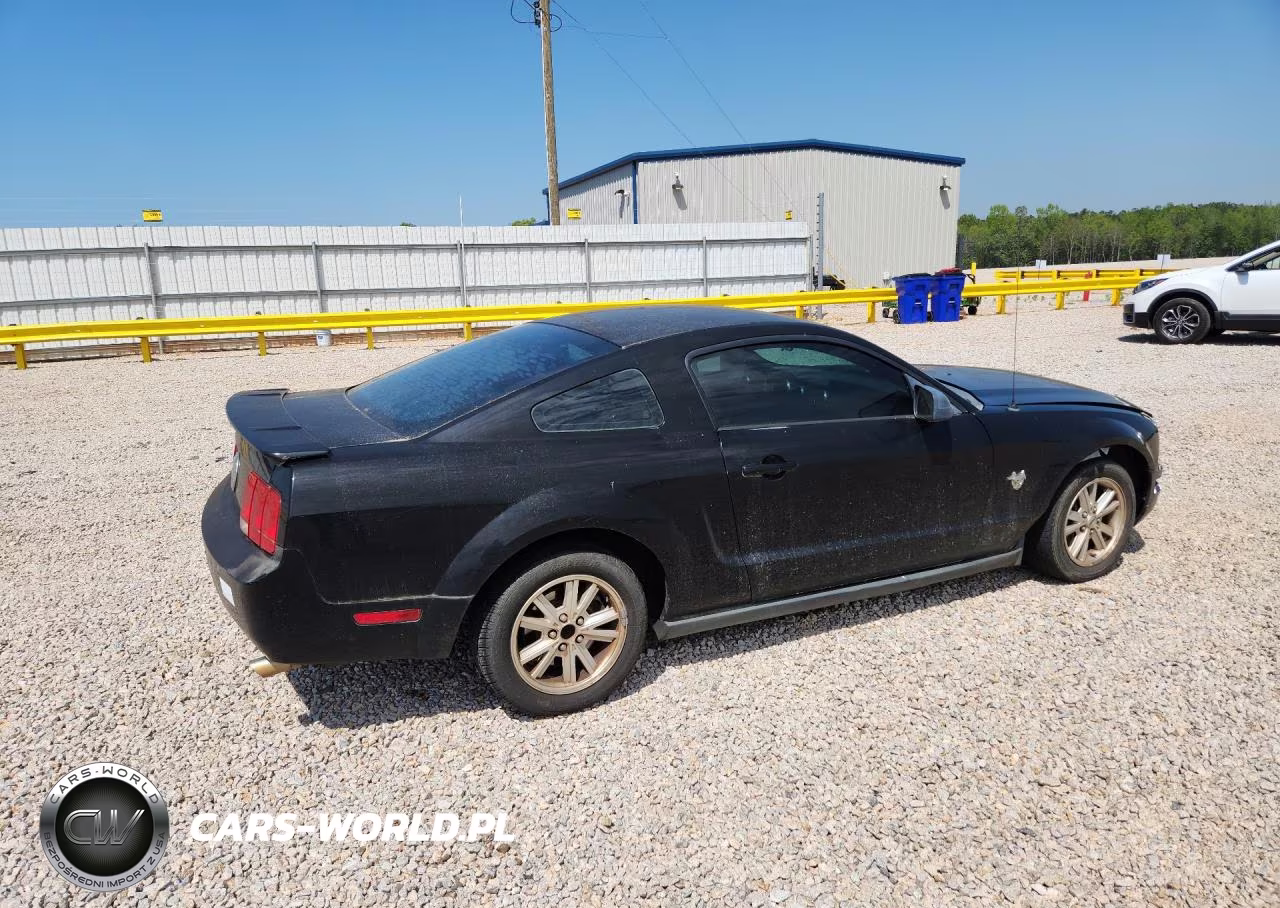 2009 Ford Mustang VIN:1ZVHT80N495124404 - 3