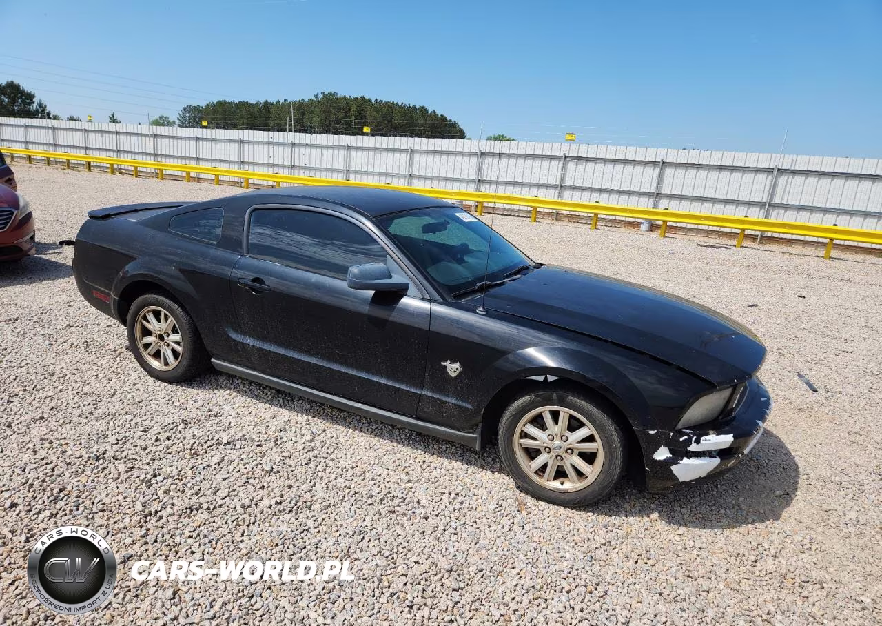 2009 Ford Mustang VIN:1ZVHT80N495124404 - 4