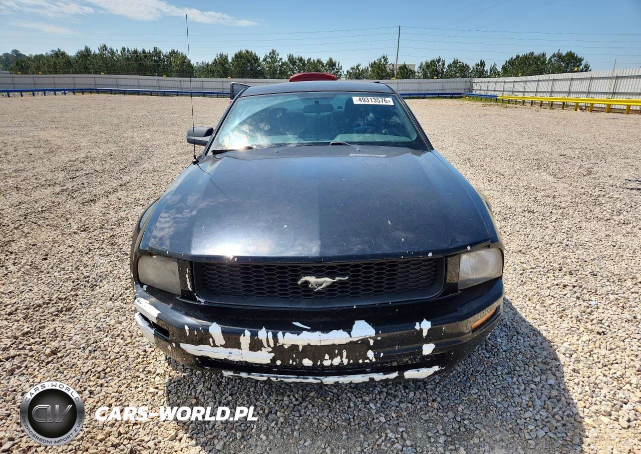 2009 Ford Mustang VIN:1ZVHT80N495124404 - 5