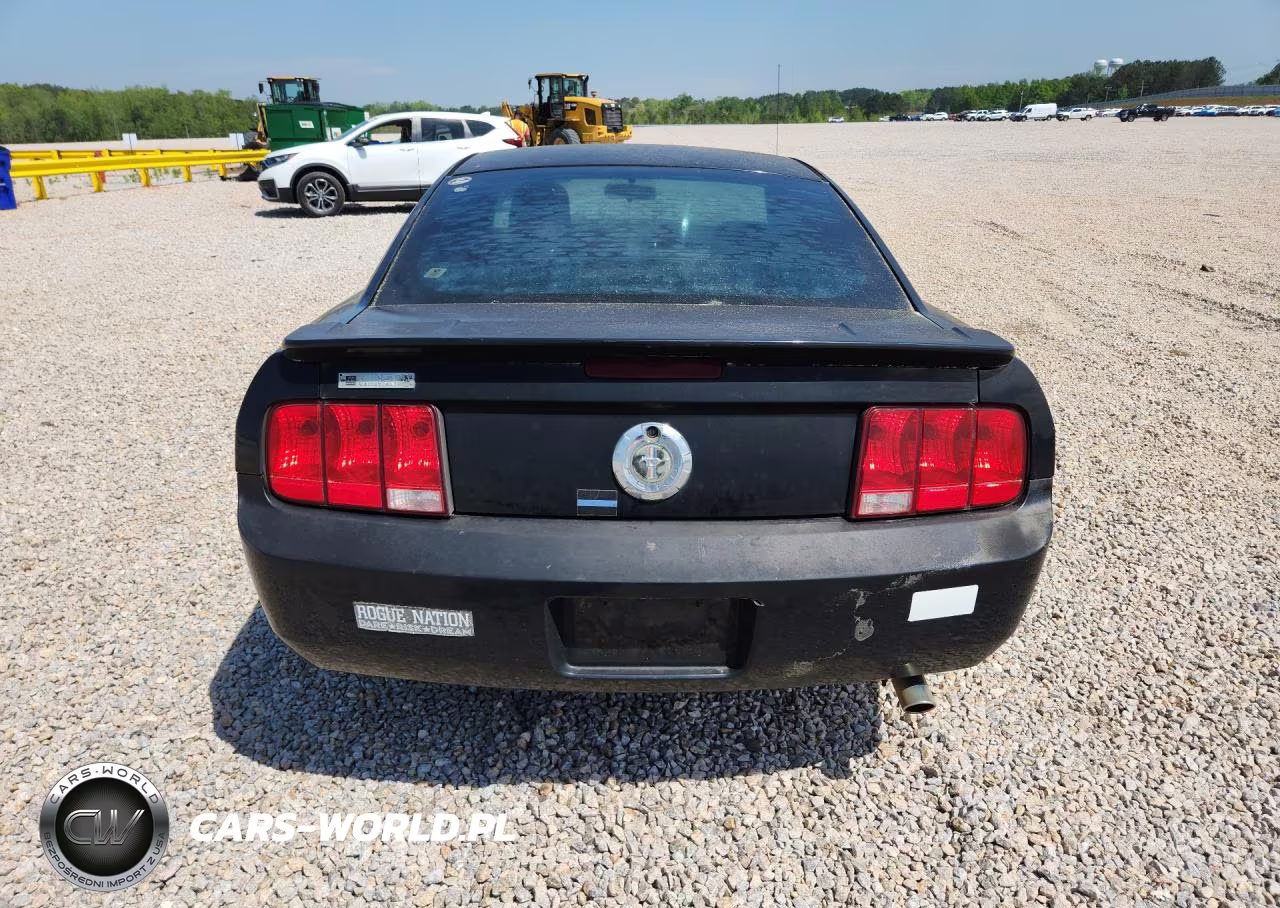 2009 Ford Mustang VIN:1ZVHT80N495124404 - 6
