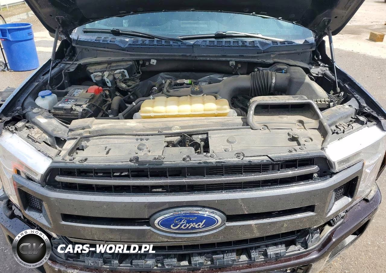 2020 Ford F150 Supercrew VIN:1FTEW1EP6LFC20972 - 11