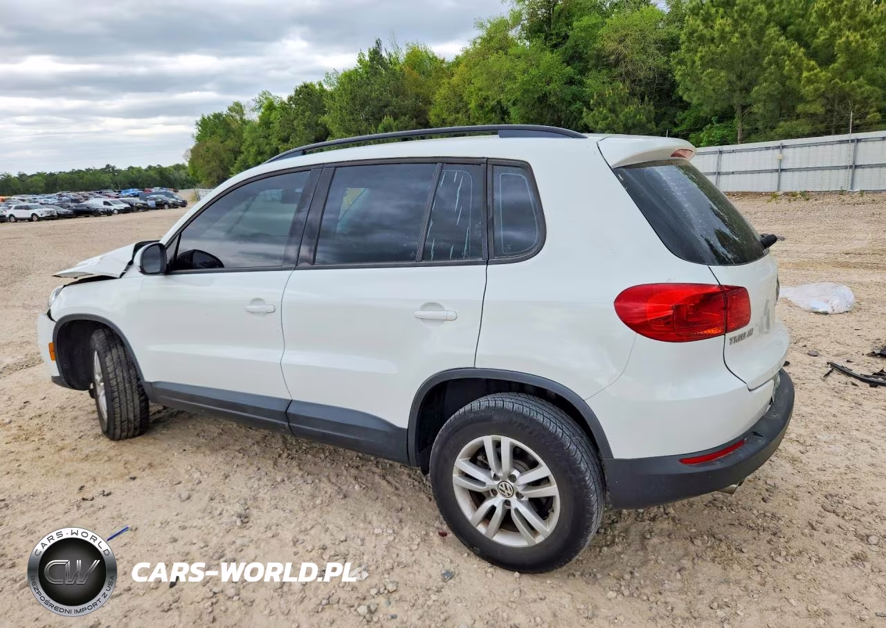 2016 Volkswagen Tiguan S VIN:WVGAV7AX7GW592462 - 2