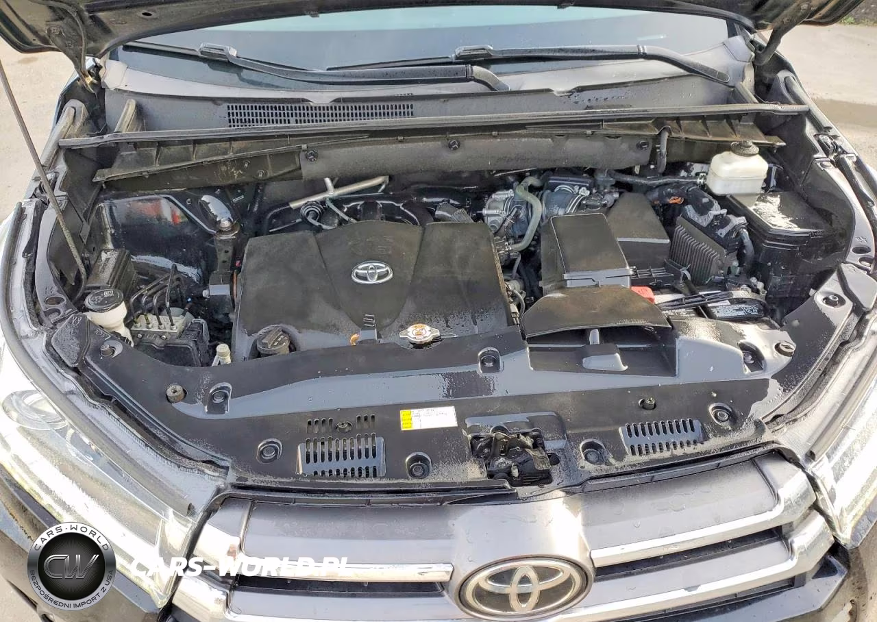 2019 Toyota Highlander Limited VIN:5TDDZRFH0KS715787 - 12