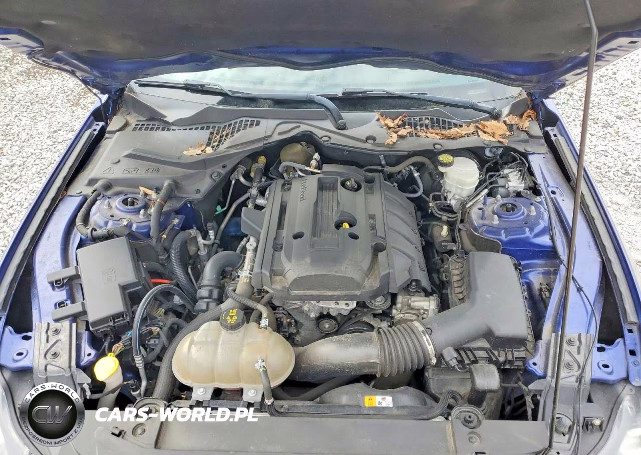 2016 Ford Mustang VIN:1FA6P8THXG5312285 - 11