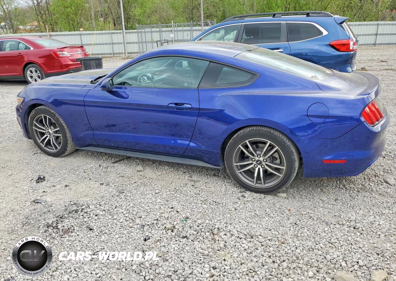 2016 Ford Mustang VIN:1FA6P8THXG5312285 - 2
