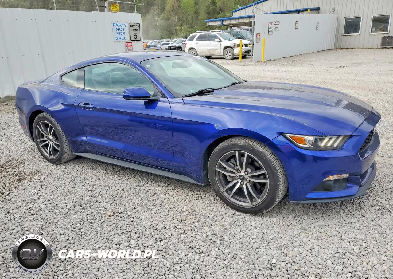 2016 Ford Mustang VIN:1FA6P8THXG5312285 - 4
